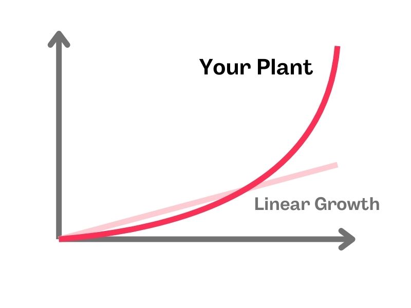 Exponential growth vs linear growth lines shown on a graphic.